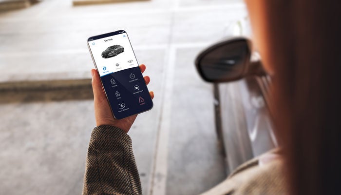 Barberino Nissan in Wallingford CT